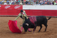 Matador Manolo Martínez