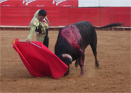 Matador Manolo Martínez