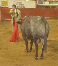 Matador Manolo Martínez