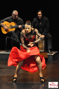 Leticia Cosío y su Compañía ¡Viva Flamenco!