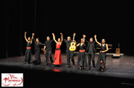 Leticia Cosío y su Compañía ¡Viva Flamenco!